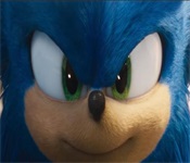 Sonic Fox Adventure